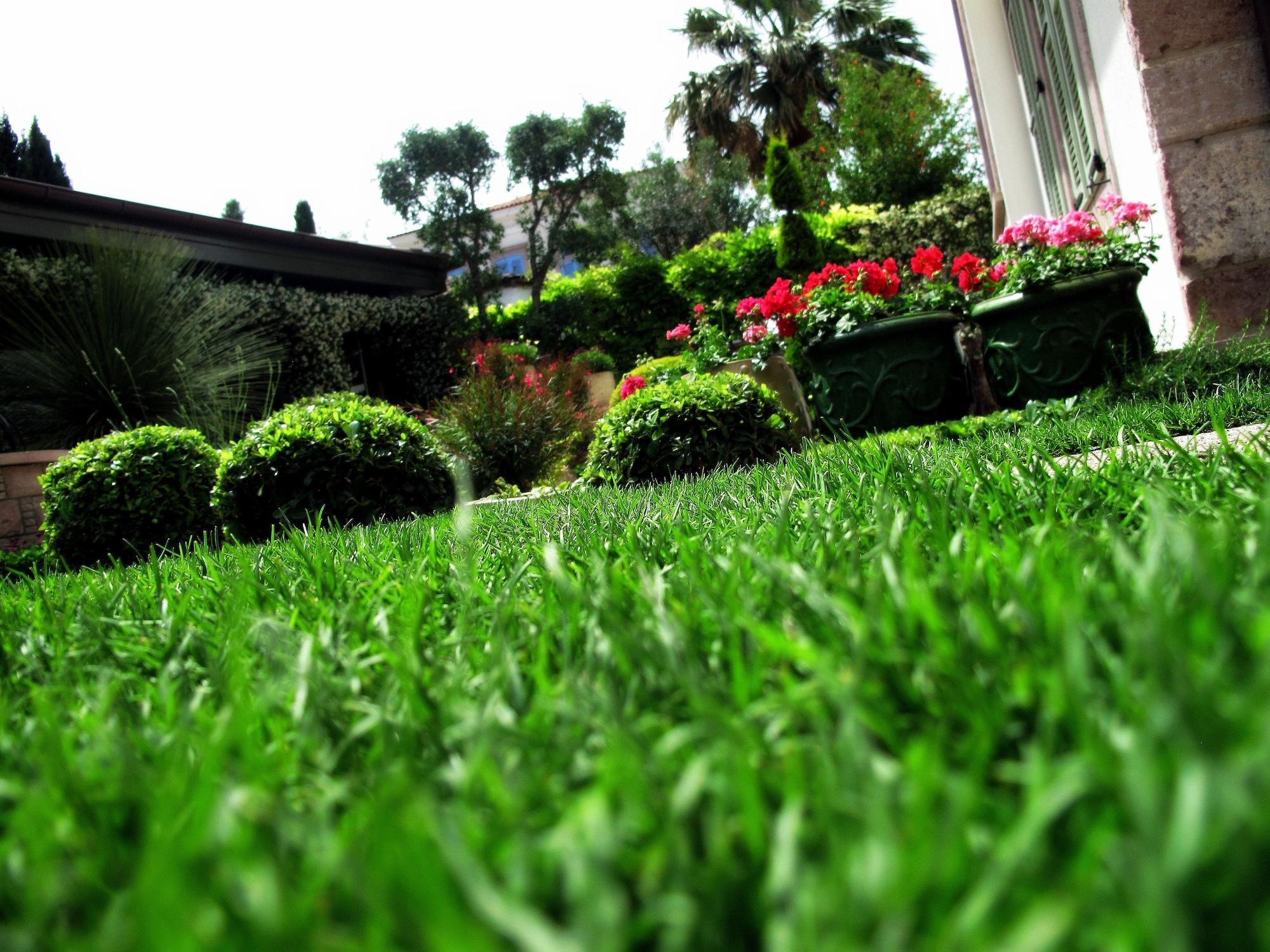 Nisi Hotel (Adults Only) Ayvalı Kültér fotó